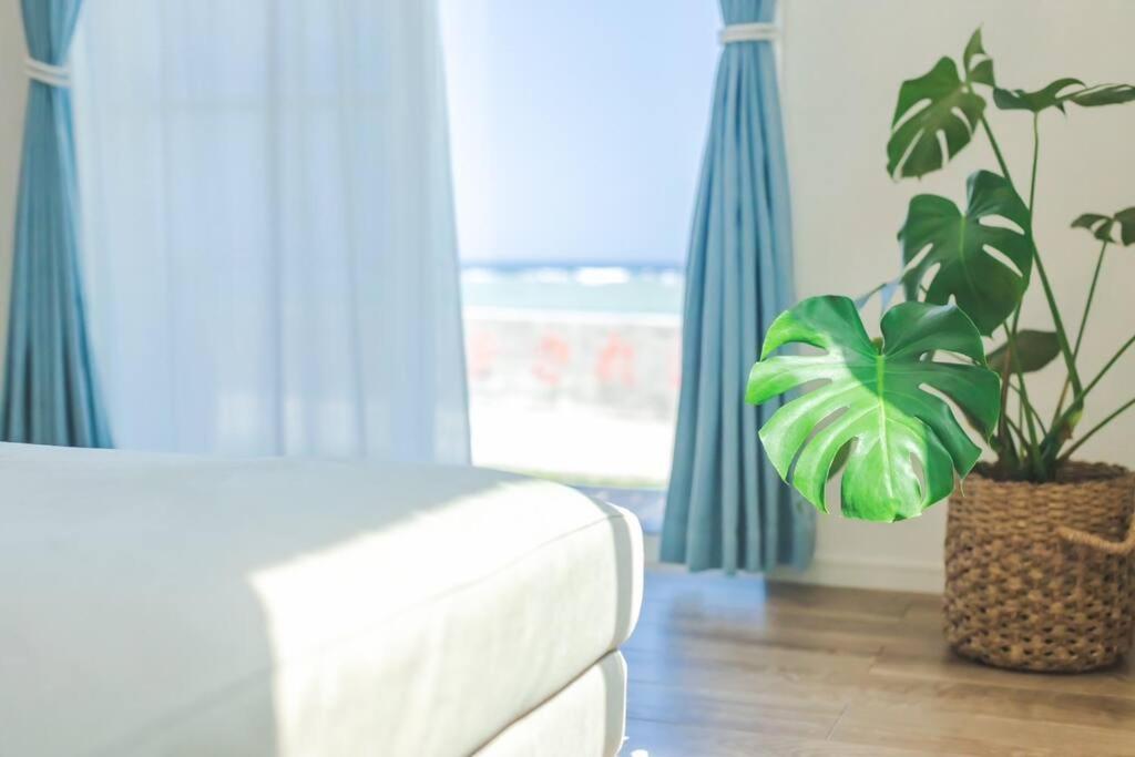 石垣島一棟貸し 潮 Villa Ishigaki (Okinawa)